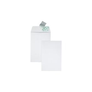 Quality Park 6 x 9 Catalog Envelopes with Self-Seal Closure