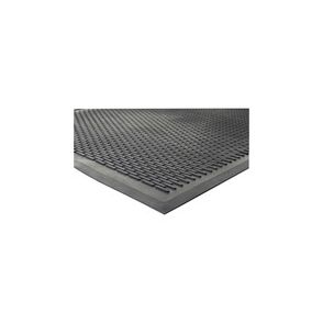 Genuine Joe Clean Step Scraper Floor Mats