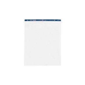 Business Source Standard Easel Pad