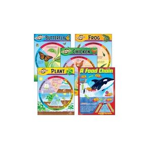 Trend Life Cycles Learning Charts Combo Pack