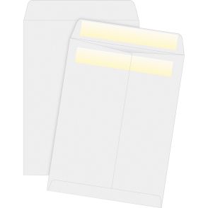 Business Source Press/Seal Catalog Envelopes