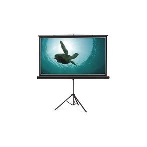 Quartet Manual Projection Screen