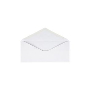 Business Source No. 10 V-Flap Envelopes