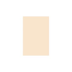 Pacon Medium Weight Manila Tagboard