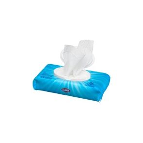 Clorox Bleach-free Disinfecting Cleaning Wipes