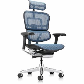 Eurotech ErgoHuman Gen2 Executive All-Mesh Chair- Blue