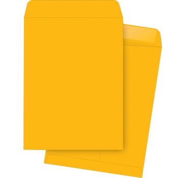 Business Source Kraft Gummed Catalog Envelopes