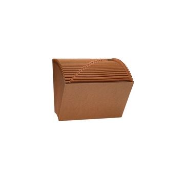 Business Source Letter Recycled Expanding File
