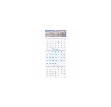 At-A-Glance Scenic 3-Month Wall Calendar